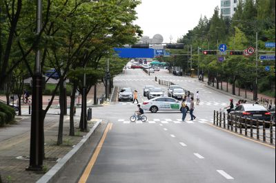 노작로 및 솔빛마을 사거리 사거리,동탄2동 행정복지센터 앞 정류장, 그늘막, H16 동탄순환버스 운행현황 A-55.JPG