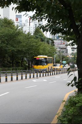 노작로 및 솔빛마을 사거리 사거리,동탄2동 행정복지센터 앞 정류장, 그늘막, H16 동탄순환버스 운행현황 A-64.JPG