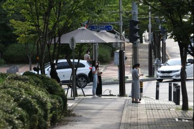 노작로 및 솔빛마을 사거리 사거리,동탄2동 행정복지센터 앞 정류장, 그늘막, H16 동탄순환버스 운행현황 A-87.JPG