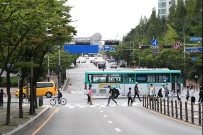 노작로 및 솔빛마을 사거리 사거리,동탄2동 행정복지센터 앞 정류장, 그늘막, H16 동탄순환버스 운행현황 A-97.JPG