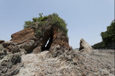 화성지질공원 백미리 굴통뿌리 풍경