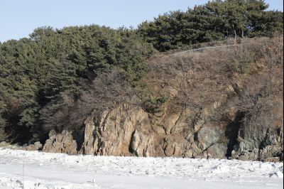 황금해안길 백미리 궁평리 풍경 Y-50.JPG