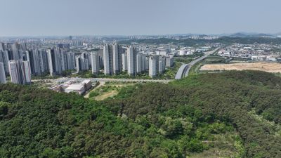 왕배산,왕배초등학교,한국도로공사 인재개발원 항공촬영 DJI_20240509110802_0008_D.JPG