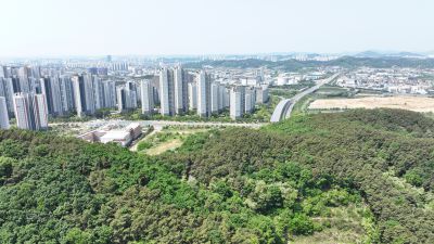 왕배산,왕배초등학교,한국도로공사 인재개발원 항공촬영 DJI_20240509110802_0009_D.JPG