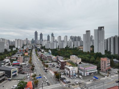 2024 정조효문화제 능행차 항공촬영 DJI_20241006103514_0004_D_S.jpg