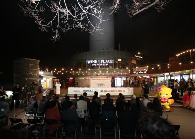 2025 화성특례시 출범기념 남산서울타워 점등식 1DXS1135_s.jpg