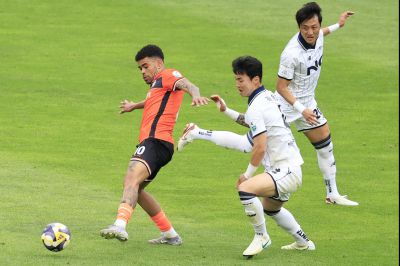 화성FC K2리그 경기 화성VS서울 이랜드 _E2A5962_resize.JPG