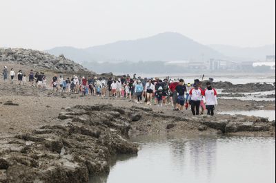 제15회 화성 뱃놀이 축제2일차 이모저모 _A5A0597_resize.JPG