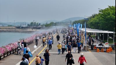 제15회 화성 뱃놀이 축제 3일차 항공사진 포토갤러리 등록 (3)_resize.JPG