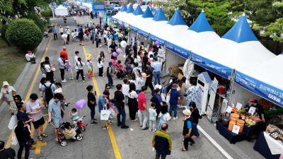 제15회 화성 뱃놀이 축제 3일차 항공사진 DJI_20250531080141_0112_D_resize.JPG