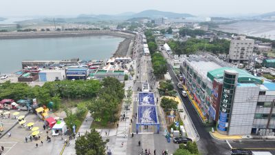 제15회 화성 뱃놀이 축제 3일차 항공사진 DJI_20250531081847_0160_D_resize.JPG