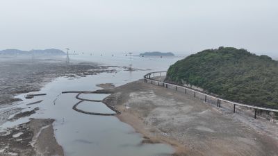 제15회 화성 뱃놀이 축제 3일차 항공사진 DJI_20250531094313_0173_D_resize.JPG