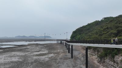 제15회 화성 뱃놀이 축제 3일차 항공사진 DJI_20250531094434_0174_D_resize.JPG