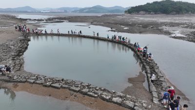 제15회 화성 뱃놀이 축제 3일차 항공사진 DJI_20250531100204_0184_D_resize.JPG