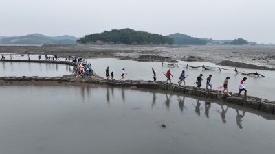 제15회 화성 뱃놀이 축제 3일차 항공사진 DJI_20250531100222_0186_D_resize.JPG
