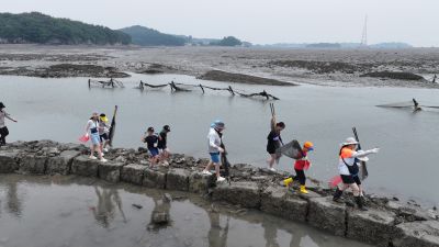 제15회 화성 뱃놀이 축제 3일차 항공사진 DJI_20250531100251_0188_D_resize.JPG