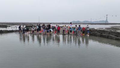 제15회 화성 뱃놀이 축제 3일차 항공사진 DJI_20250531100430_0200_D_resize.JPG