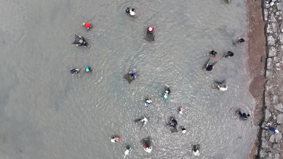 제15회 화성 뱃놀이 축제 3일차 항공사진 DJI_20250531100723_0204_D_resize.JPG
