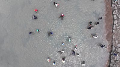 제15회 화성 뱃놀이 축제 3일차 항공사진 DJI_20250531100724_0205_D_resize.JPG
