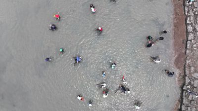 제15회 화성 뱃놀이 축제 3일차 항공사진 DJI_20250531100725_0206_D_resize.JPG