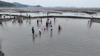 제15회 화성 뱃놀이 축제 3일차 항공사진 DJI_20250531101128_0215_D_resize.JPG