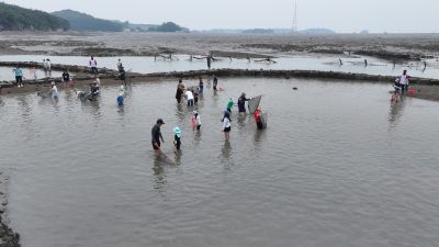 제15회 화성 뱃놀이 축제 3일차 항공사진 DJI_20250531101134_0219_D_resize.JPG