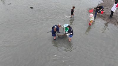 제15회 화성 뱃놀이 축제 3일차 항공사진 DJI_20250531101205_0224_D_resize.JPG