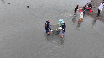 제15회 화성 뱃놀이 축제 3일차 항공사진 DJI_20250531101207_0225_D_resize.JPG