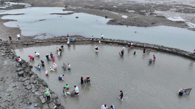 제15회 화성 뱃놀이 축제 3일차 항공사진 DJI_20250531101550_0231_D_resize.JPG