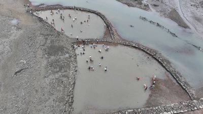 제15회 화성 뱃놀이 축제 3일차 항공사진 DJI_20250531102137_0240_D_resize.JPG