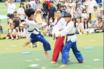 동탄4동 체육대회 _C6A3938_resize.JPG