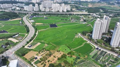 봉담생태체육공원, 삼봉근린공원 및 2택지, 내리 일원 항공촬영 DJI_20250802102328_0200_D_크기변경.JPG