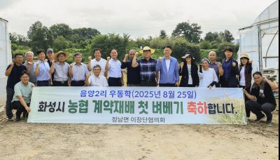 화성시 농협 계약재배 첫 벼베기 photo_resize01.jpg