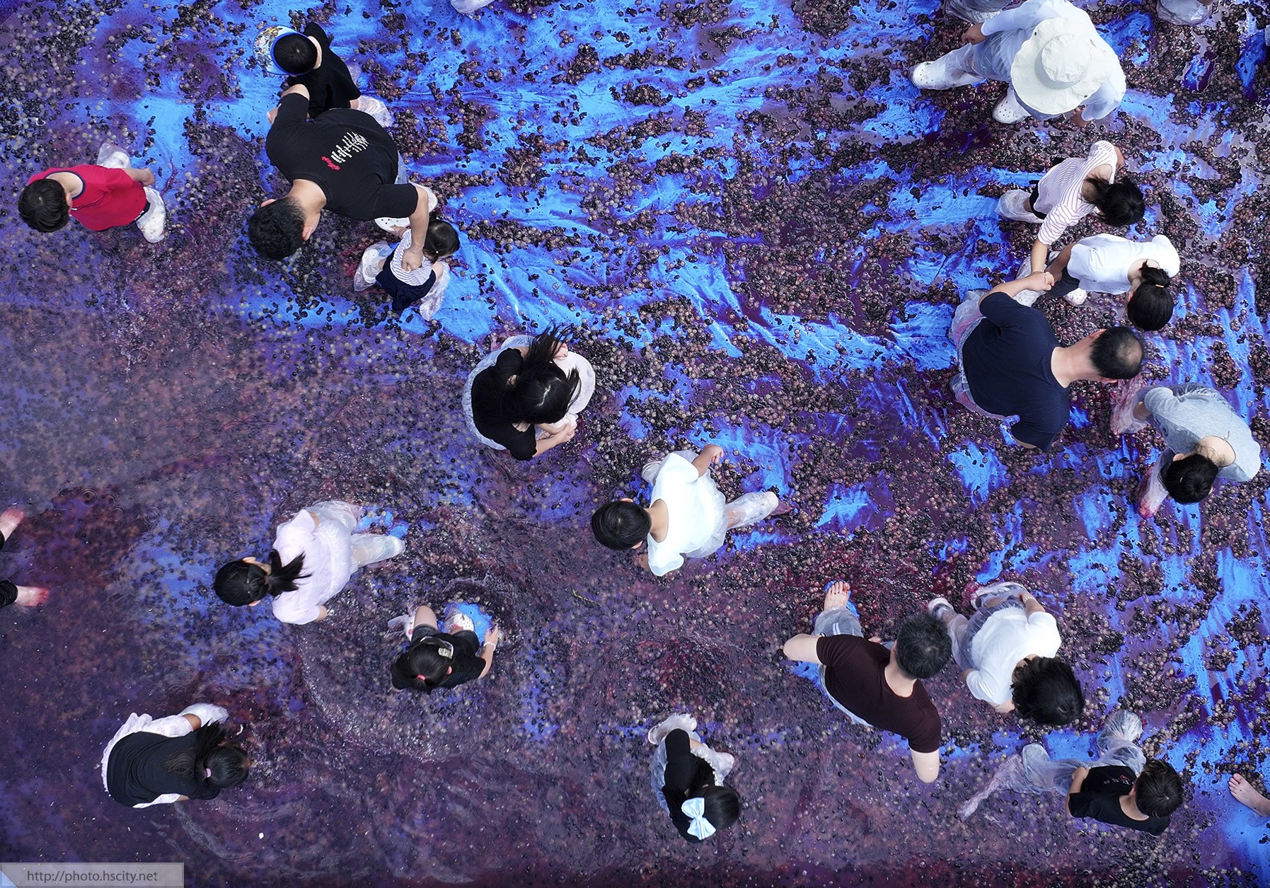 화성 송산포도축제 1일차 