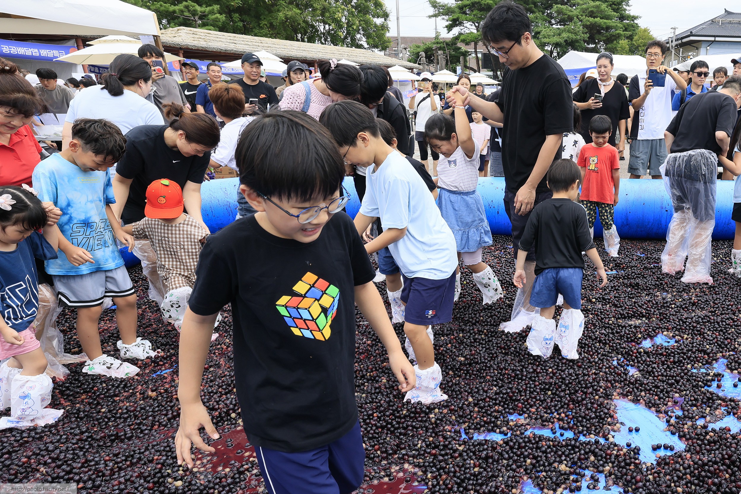 화성 송산포도축제 2일차 