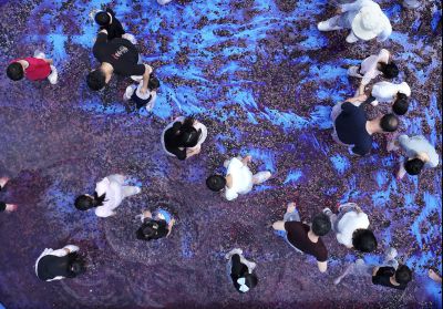 화성 송산포도축제 1일차