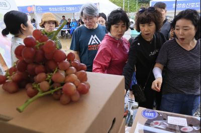 화성 송산포도축제 1일차 photo_resize02.jpg