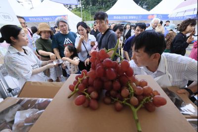 화성 송산포도축제 1일차 photo_resize04.jpg