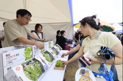 화성 송산포도축제 1일차 photo_resize13.jpg