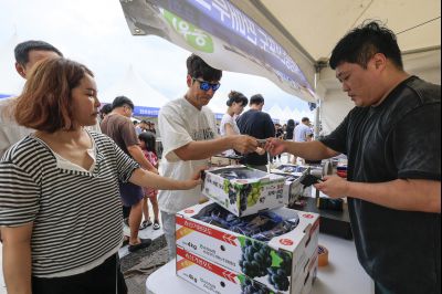 화성 송산포도축제 1일차 photo_resize16.jpg