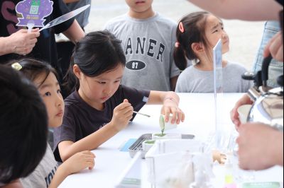 화성 송산포도축제 1일차 photo_resize34.jpg