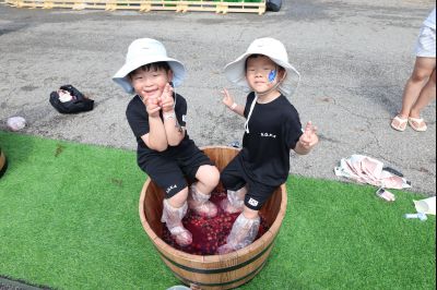 화성 송산포도축제 1일차 photo_resize38.jpg