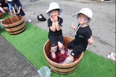 화성 송산포도축제 1일차 photo_resize39.jpg