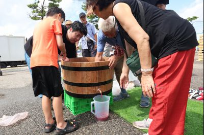 화성 송산포도축제 1일차 photo_resize41.jpg