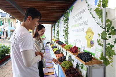 화성 송산포도축제 1일차 photo_resize44.jpg