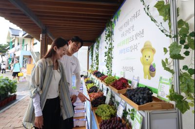 화성 송산포도축제 1일차 photo_resize45.jpg