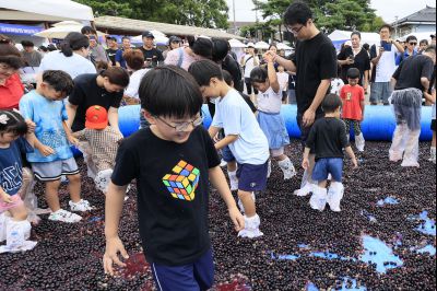 화성 송산포도축제 2일차