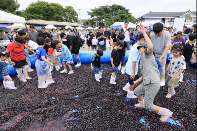 화성 송산포도축제 2일차 photo_resize18.jpg