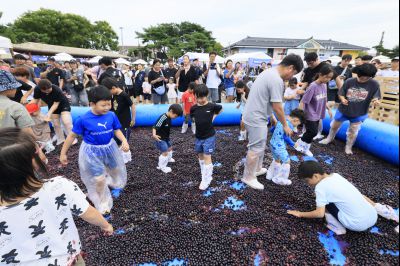 화성 송산포도축제 2일차 photo_resize19.jpg