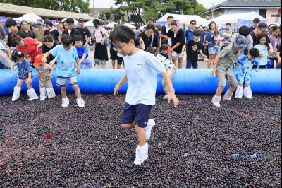 화성 송산포도축제 2일차 photo_resize03.jpg